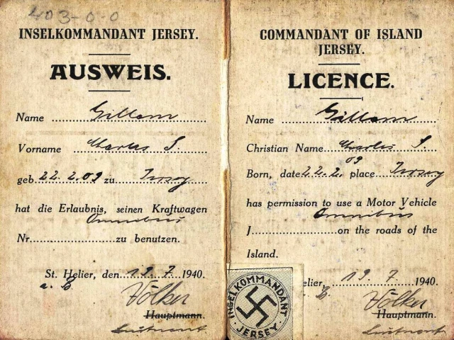 German issued driving licence